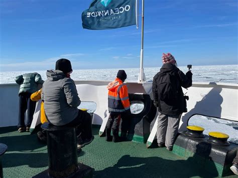 What is a Svalbard Cruise like? — Young Pioneer Tours