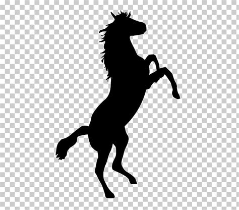 Free Bronco Cliparts, Download Free Bronco Cliparts png images, Free ClipArts on Clipart Library