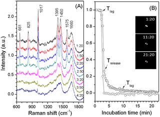 Kinetics of Germination of Individual Spores of Geobacillus stearothermophilus as Measured by ...