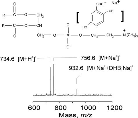 Detection of Adducts with Matrix Clusters in the Positive and Negative Ion Mode MALDI-TOF Mass ...