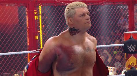 Cody Rhodes Wrestled With A Nasty-Looking Torn Pectoral Injury At WWE's 'Hell In A Cell' - BroBible