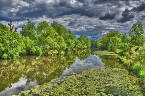 Water lilies in Fulda river in HDR Aueweiher Park in Fulda, Hessen, Germany 10654754 Stock Photo ...