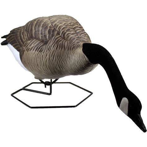 New Full Body Goose Decoys - Explore Beavertail