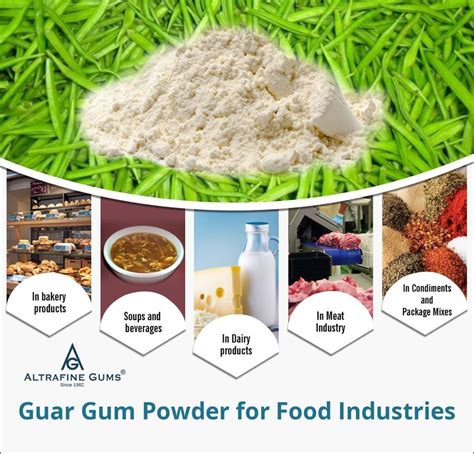 Guar Gum Powder - Europe Market