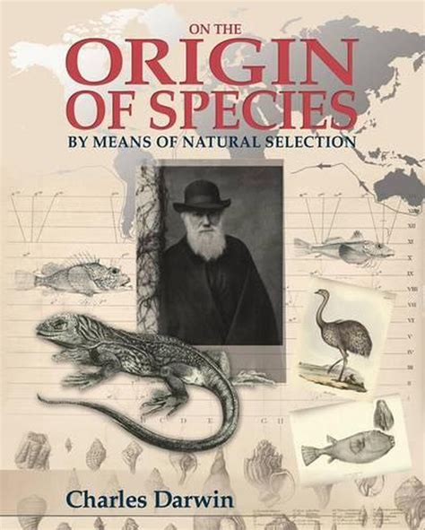 On the Origin of Species by Charles Darwin, Hardcover, 9781848588790 | Buy online at The Nile