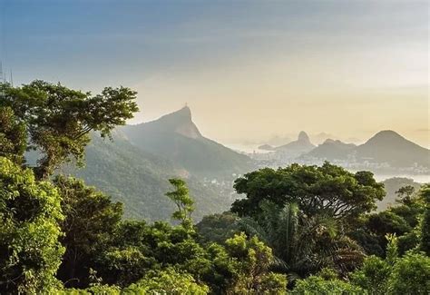 Photographic Print of View from Vista Chinesa over Tijuca Forest ...