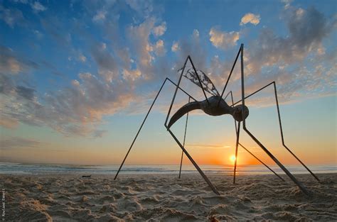 10 Stunning Sculptures Parked Perfectly on the Beach