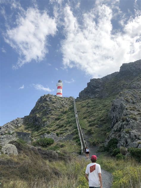 A Camping Escape to Cape Palliser & the Putangirua Pinnacles