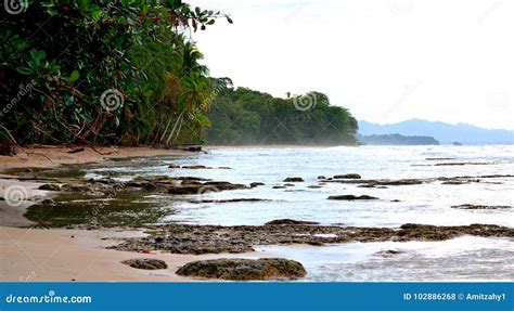 Costa rica limon stock photo. Image of beautiful, coast - 102886268