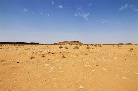 Premium Photo | Sahara desert of sudan