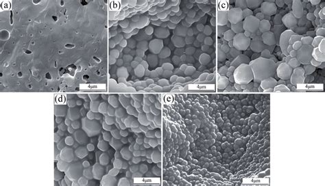 Microstructure of ceramics derived from Cs (1-x) Na x GPs, (a) x = 0,... | Download Scientific ...