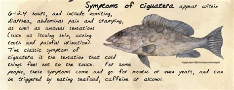 The Fisheries Blog: The Latest on Ciguatera Fish Poisoning