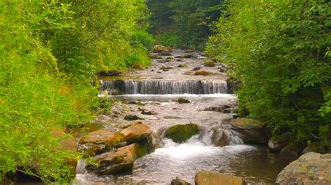 Relaxing Forest River Sounds, Sleep Meditation Sounds, Nature Sounds ...