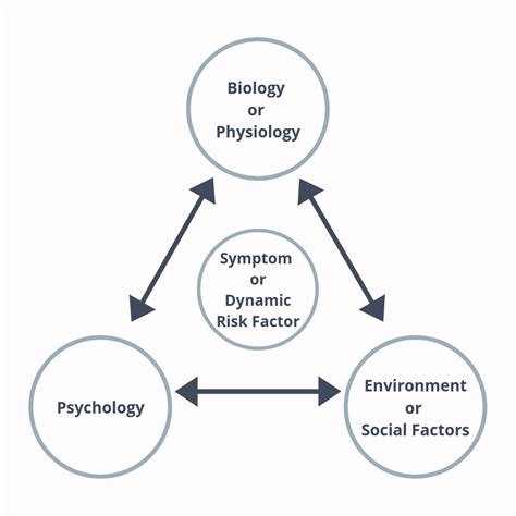 Biosocial Model Of Bpd Diagram Biopsychosocial Model – Jna