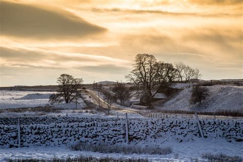 Winter Landscape Free Stock Photo - Public Domain Pictures