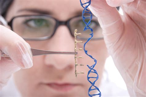 Educational Qualification for Genetic Engineering Careers - Eligibility ...