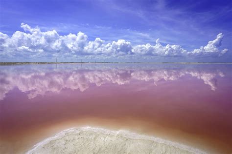 The Unbelievable Pink Lakes Of Las Coloradas In Mexico • Expert Vagabond