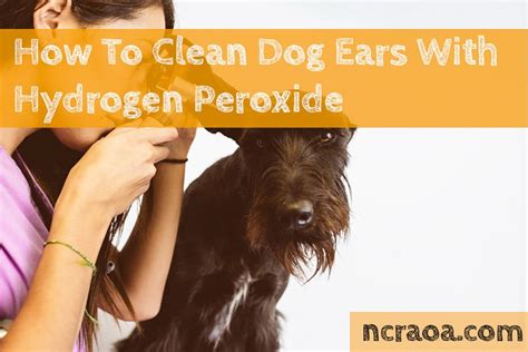 How To Clean Dog Ears With Hydrogen Peroxide | National Canine Research Association Of America