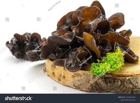 3,103 Jelly Ear Fungus Images, Stock Photos & Vectors | Shutterstock