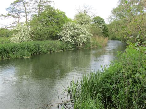 River Stour, Wimborne, Dorset, May 2014 | Wimborne minster, River, Minster