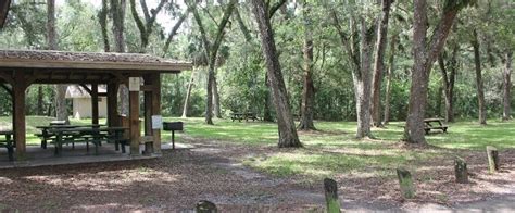 Take a Break at the Picnic Area | Florida State Parks