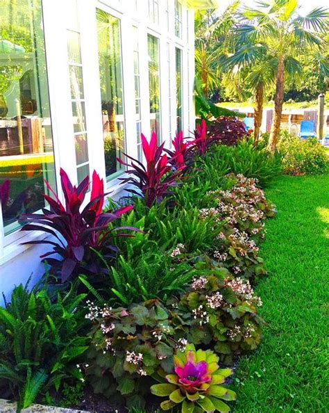 Cómo hacer un jardín: mira estas ideas | Tropical garden design, Garden ...