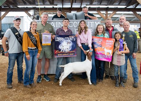 Reserve Boer Goat - Farm and Dairy