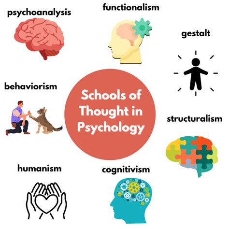 8 Fascinating Fields of Psychology You Should Know