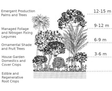 Maya Farming - Maya Agriculture - Maya Crops - Planet Archaeology