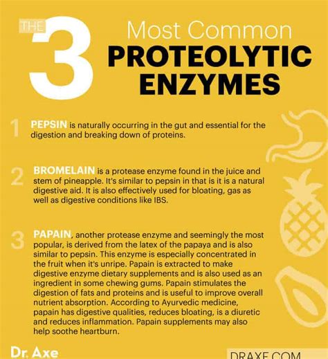 Proteolytic Enzymes Benefits, Sources, Supplements and More - Dr. Axe