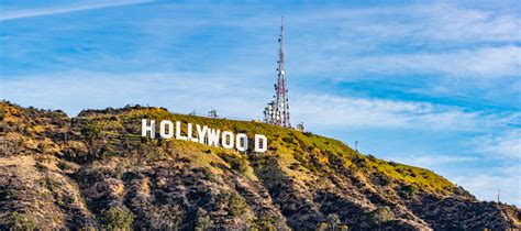 Hollywood Sign And Dog Park Stock Photo - Download Image Now - iStock