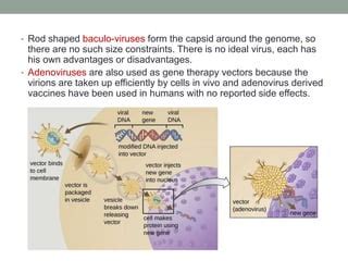 Transgenesis methods and applications | PPT