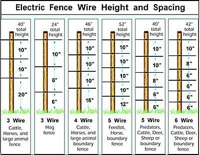 Pin by D St on fencing | Electric fence, Deer fence, Wire fence