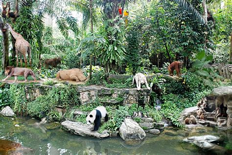 all animals together in jungle by foochai | ePHOTOzine