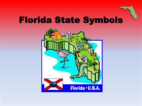 PPT - Florida State Symbols PowerPoint Presentation, free download - ID ...