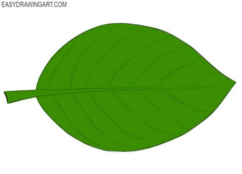 How to Draw a Leaf - Easy Drawing Art