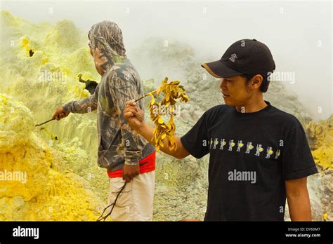 Guides dipping twigs in molten sulphur at fumaroles in Papandayan Volcano, Garut, W Java, Java ...