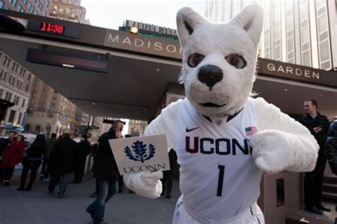 About that photo... | University of Connecticut mascot Jonathan the...