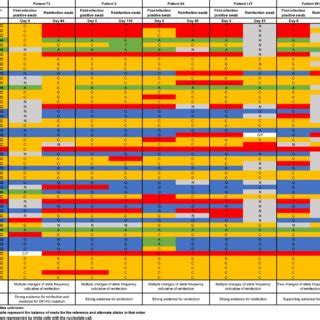 Viral genome sequencing analysis of paired viral specimens of the... | Download Scientific Diagram