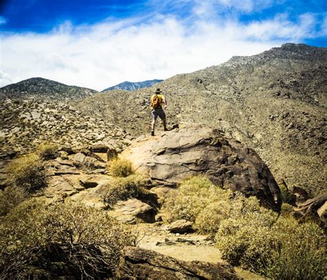 Hiking in Palm Springs, California - Away We Winnebago