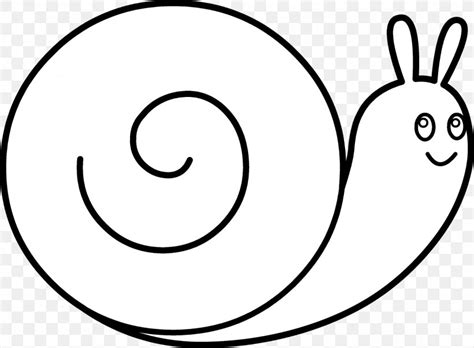 Snail Black And White Drawing Theba Pisana Clip Art, PNG, 1600x1177px, Snail, Area, Art, Black ...