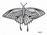 Yucca Flats NM Wenchkins coloring Pages  Butterfly 2 sketch template