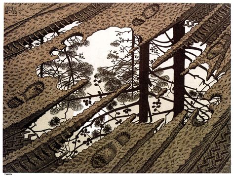 M C Escher Illusions | Puddle - A optical illusion m c escher art ...