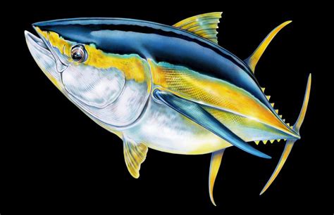 Yellowfin Tuna iPhone Skin by Tim Jeffs Art - iPhone X in 2021 | Color drawings, Fish art, Fish ...