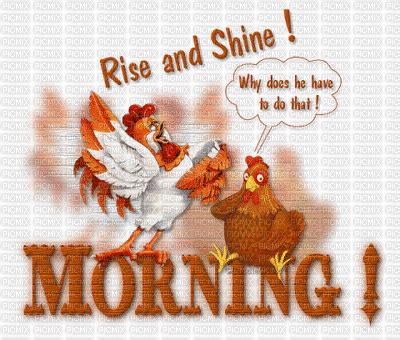 GOOD MORNING CARTOON, good , morning , rooster , chicken , country , cartoon , animated , rise ...