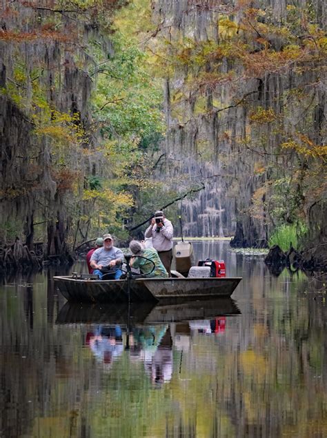 Caddo Lake & Big Cypress Bayou Photo Tours - Van Os Photo Safaris