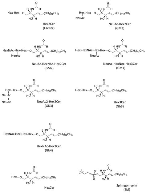 IJMS | Free Full-Text | Glycosphingolipids with Very Long-Chain Fatty ...