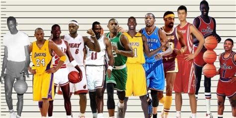 The Average Height of NBA Players from 1952-2022