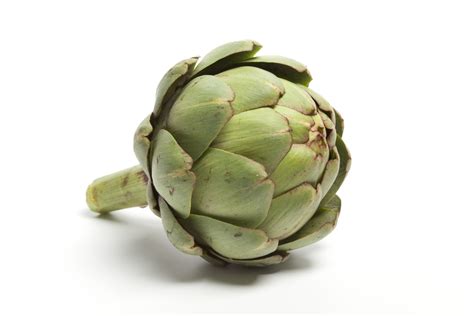 Chinese Translation of “artichoke” | Collins English-Chinese Dictionary