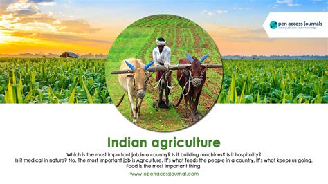 Indian Agriculture - All information about Indian Agriculture » Open ...